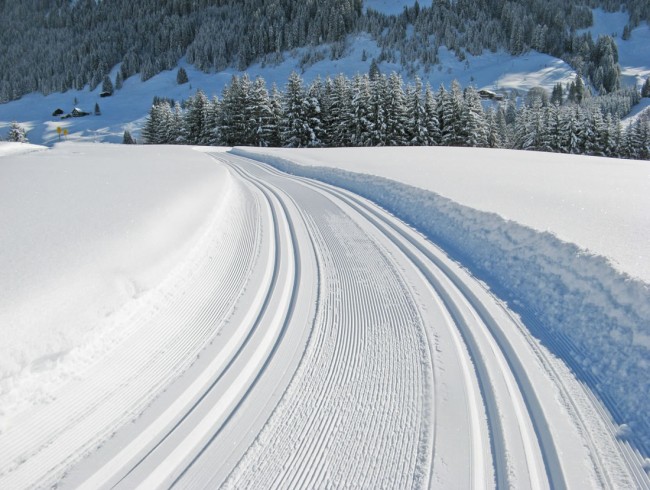 Langlaufen in Flachau